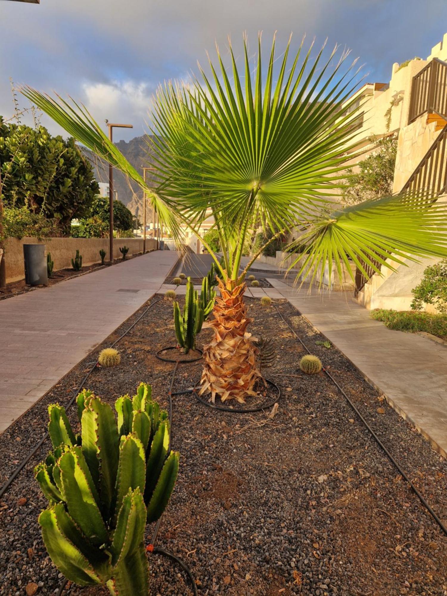 Studia Puerto De Santiago Apartment Puerto de Santiago  Exterior photo